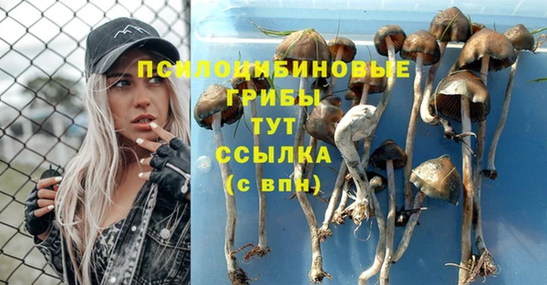 синтетический гашиш Удомля