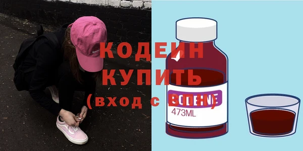 шишки Покачи