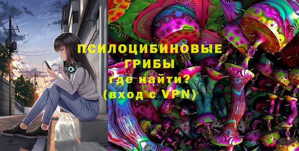 2c-b Осташков