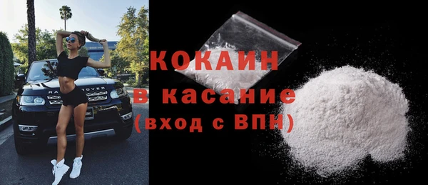 шишки Покачи