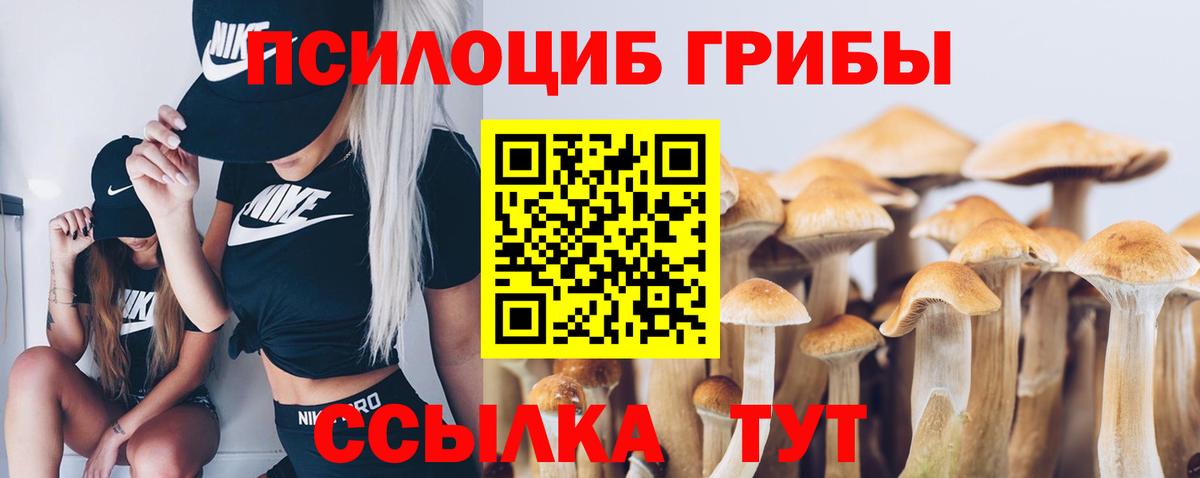 Галлюциногенные грибы мухоморы Лосино-Петровский
