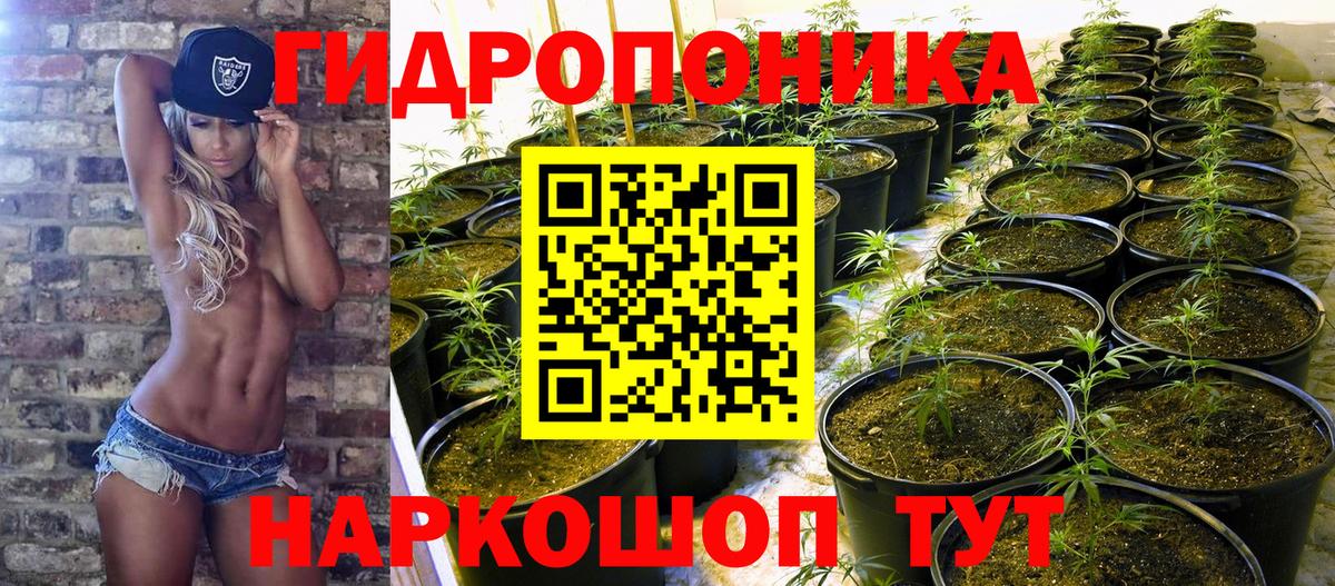Конопля Ganja Лосино-Петровский